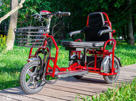 Электротрицикл Elbike Адъютант Double A3