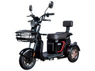 Электротрицикл White Siberia SIBTRIKE L 2000W Электротрицикл White Siberia SIBTRIKE L 2000W