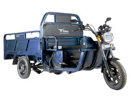 Электротрицикл Rutrike D4 1800 60V1200W