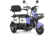 Электротрицикл Rutrike Gelbert Vega 48V/60V 600Вт (фиолетовый)
