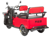Электротрицикл Wanshida LC-F200 60V 1000Вт (зеленый)