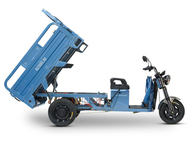 Электротрицикл Rutrike Вектор 1500 60V1200W