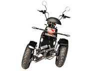 Электротрицикл SKYBOARD Elbrus Chopper-4000 Harrow