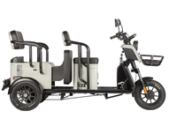 Электротрицикл Wanshida LC300 60V 1000Вт (серый)