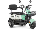 Электротрицикл Rutrike Gelbert Vega 48V/60V 600Вт (зеленый) Электротрицикл Rutrike Gelbert Vega 48V/60V 600Вт (зеленый)