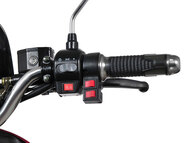 Электротрицикл KUBA 800W 60V
