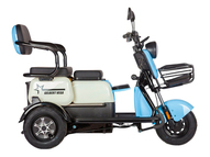 Электротрицикл Rutrike Gelbert Vega 48V/60V 600Вт (фиолетовый)
