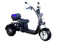 Электротрицикл SKYBOARD MyRussia TRIKE BR60-3000 PRO FAST Электротрицикл SKYBOARD MyRussia TRIKE BR60-3000 PRO FAST