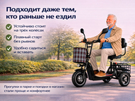 Электротрицикл TRION Partner MX 12 (36V / 15AH)