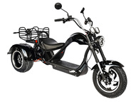 Электротрицикл SKYBOARD Dnepr Chopper-4000 Wide Электротрицикл SKYBOARD Dnepr Chopper-4000 Wide