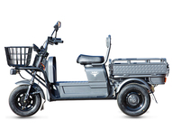 Электротрицикл Rutrike Баркас 740 60V1000W