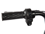 Электротрицикл Rutrike Экипаж