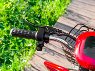 Электротрицикл Elbike Адъютант Double Twix A4