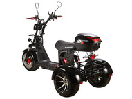 Электротрицикл SKYBOARD TRIKE BR60-3000 PRO