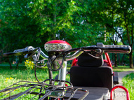 Электротрицикл Elbike Адъютант Double Twix A4