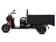 Электротрицикл WHITE SIBERIA SIBTRIKE CARGO