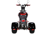 Электротрицикл SKYBOARD TRIKE BR40-3000 PRO FAST