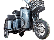 Электротрицикл Rutrike Gelbert Tuban 48V/60V 600Вт (серый)