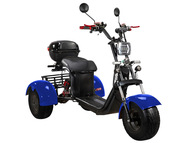 Электротрицикл SKYBOARD TRIKE BR40-3000 PRO