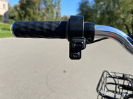 Электротрицикл TRION Transporter DUAL (Красный)