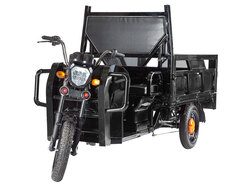 ELTRECO D3 60V 1000W с тентом ELTRECO D3 60V 1000W с тентом