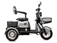 Электротрицикл Rutrike Бумеранг (зеленый)