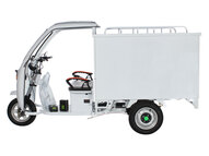 Грузовой электротрицикл Trike Cargo Box