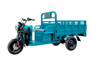 Электротрицикл Rockwild Cargo PRO Q05 Электротрицикл Rockwild Cargo PRO Q05