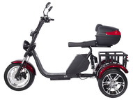 Электротрицикл SKYBOARD TRIKE BR80