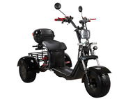 Электротрицикл SKYBOARD TRIKE BR40-3000 PRO FAST Электротрицикл SKYBOARD TRIKE BR40-3000 PRO FAST