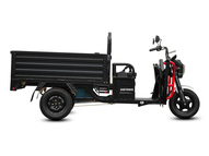 Электротрицикл WHITE SIBERIA SIBTRIKE CARGO
