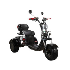SKYBOARD TRIKE BR40-3000 PRO