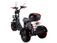 Электротрицикл SKYBOARD TRIKE BR40-3000 PRO