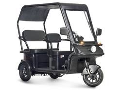 Wanshida NIPLA 570 60V 1000Вт Wanshida NIPLA 570 60V 1000Вт