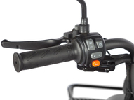 Электротрицикл Wanshida LC300 60V 1000Вт (серый)