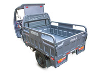 Электротрицикл Rutrike Глобус 1500 60V1000W