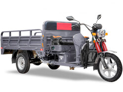 Rutrike Алтай 2000 60V1500W