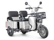 Электротрицикл Rutrike Gelbert Tuban 48V/60V 600Вт (серый)