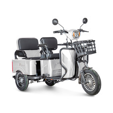 Rutrike Gelbert Tuban 48/60V 600Вт (белый)