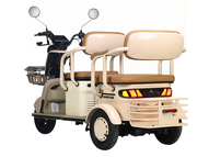 Электротрицикл Rutrike Gelbert Atlas 48V/60V 600Вт (синий)