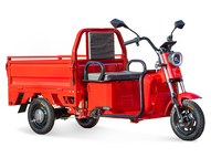 Электротрицикл Rutrike Амулет 1100 60V650W