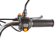 Электротрицикл Gelbert Beta 48V/60V 800Вт (бело-серый)