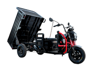Электротрицикл WHITE SIBERIA SIBTRIKE PRO CARGO Электротрицикл WHITE SIBERIA SIBTRIKE PRO CARGO