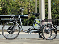 Трехколесный электровелосипед E-motions Kangoo-ru 700w