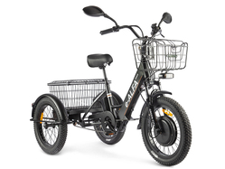 GREEN CITY e-ALFA Trike (черный) GREEN CITY e-ALFA Trike (черный)