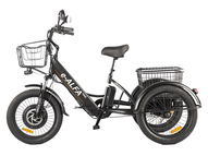 Электровелосипед GREEN CITY e-ALFA Trike (серебристый)