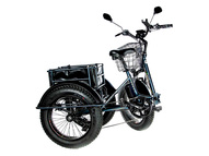 Электрический трицикл фэтбайк E-motions Panda 20 (750W 15Ah)