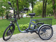 Трехколесный электровелосипед E-motions Kangoo-ru 500w